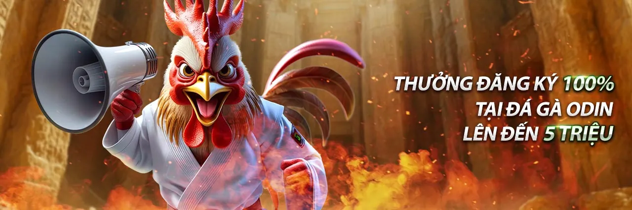Hoàn trả thể thao hi8 apk